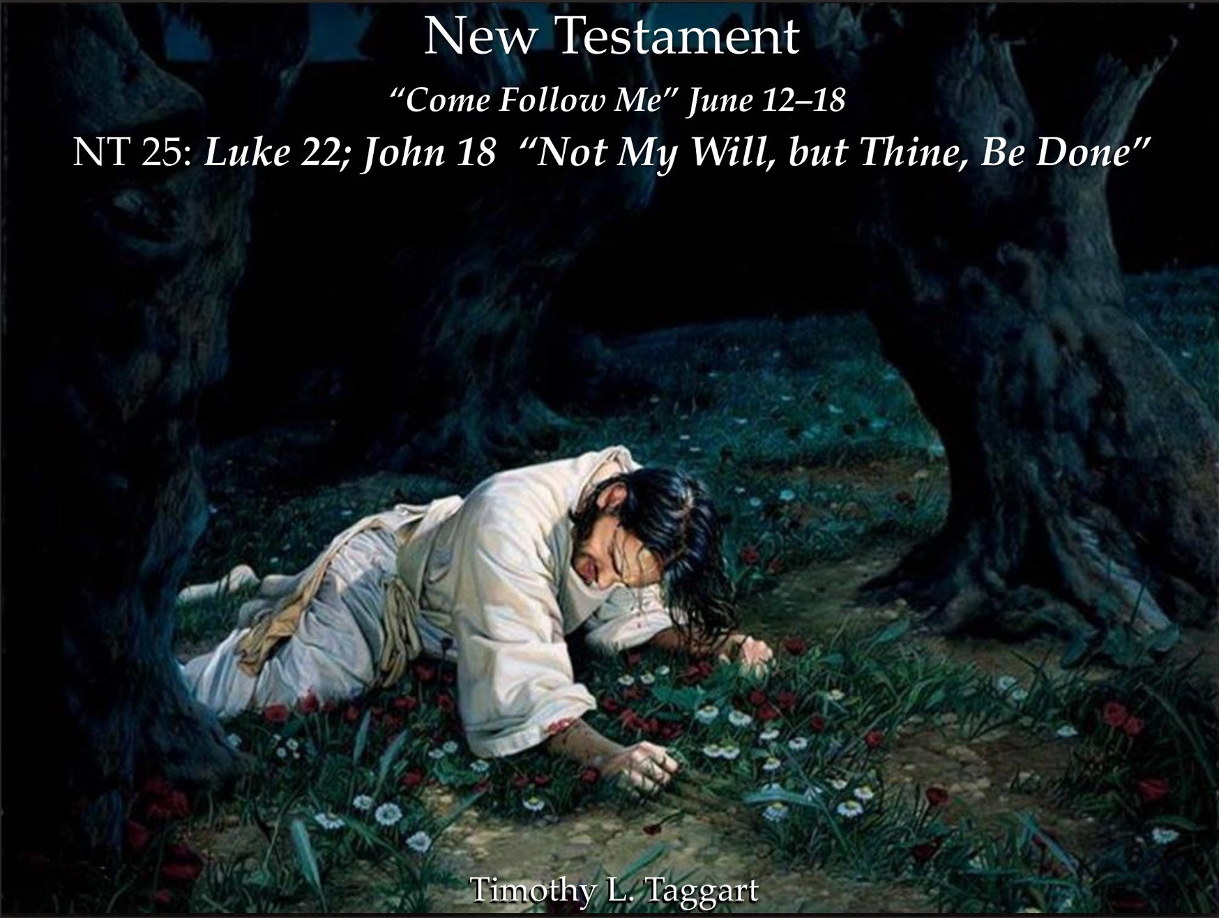 New Testament 25 June 12–18 Luke 22; John 18 “Not My Will, but Thine, Be Done” Gethsemane